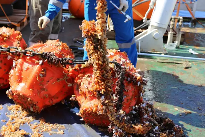 mikroplastik laut dalam