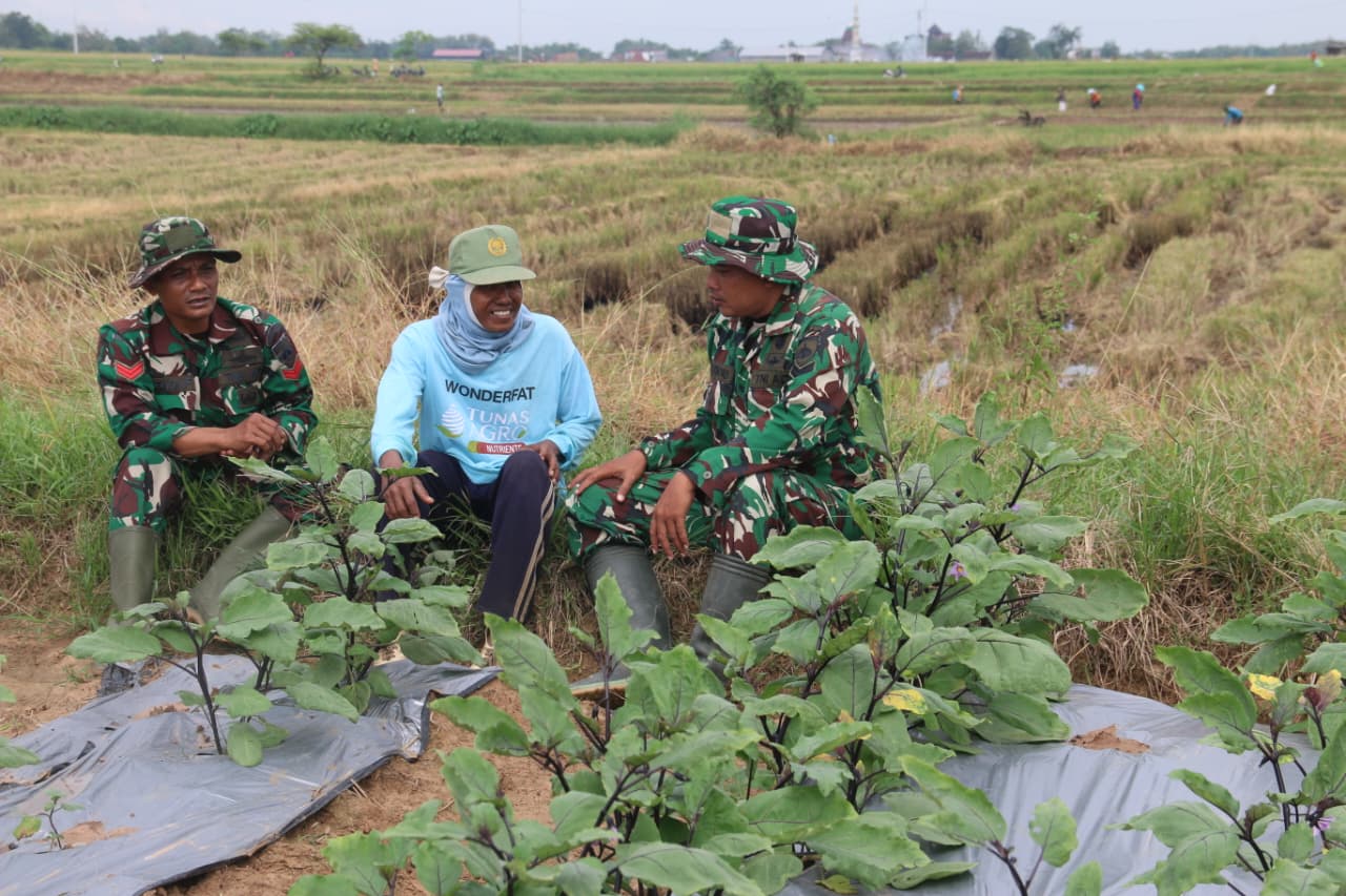 Komsos di Lahan Pertanian, Hangatnya Kebersamaan Satgas TMMD dan Petani Desa Godo