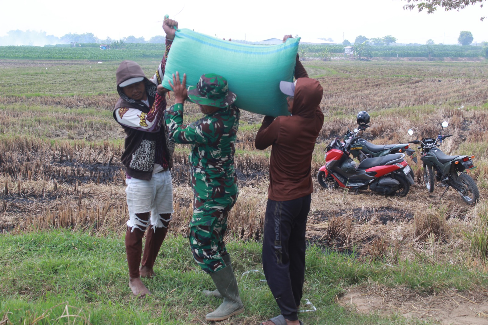 Angkat Gabah Bareng Warga, Satgas TMMD Hadir Tanpa Sekat