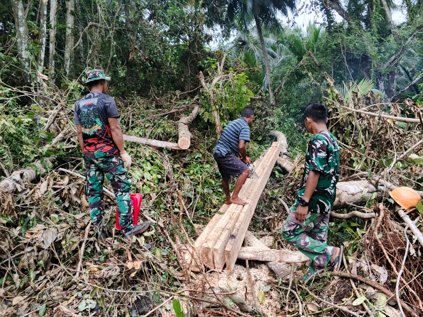 Satgas TMMD Ke-129 Tunjukkan Dedikasi, Ambil Material Kayu untuk Renovasi RTLH di Desa Umbele