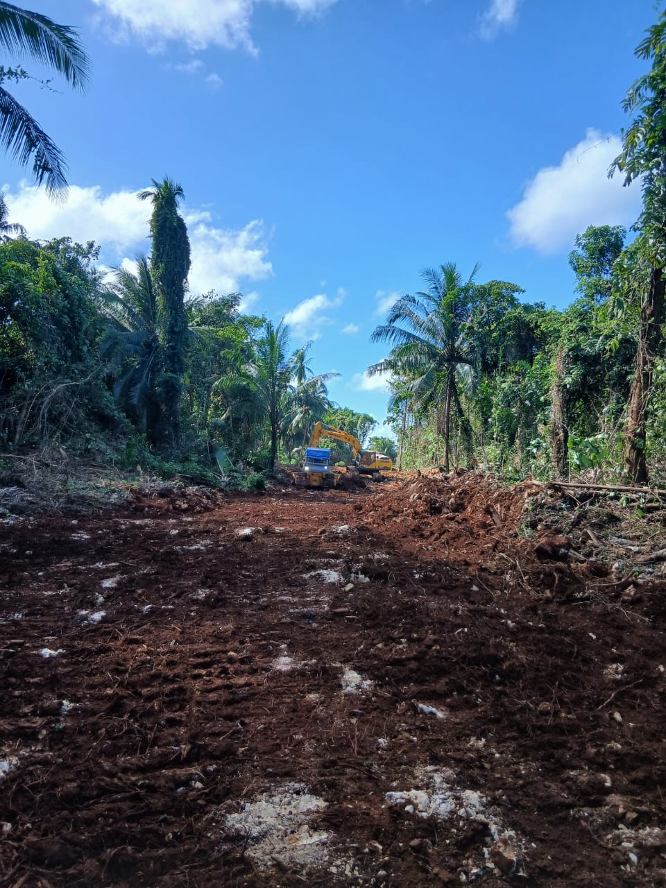 Pembukaan Jalan Penghubung Kepulauan Umbele Hampir Rampung Berkat Sinergitas Satgas TMMD dan Masyarakat